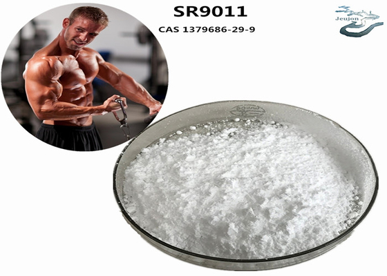 SR9011 Sarms Fat Burning Gym Powder CAS 1379686-29-9 Dodatek do kulturystyki