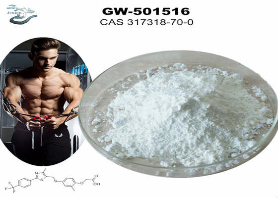 GW 501516 GSK-516 Sarms Gym Powder Kulturystyka CAS 317318-70-0