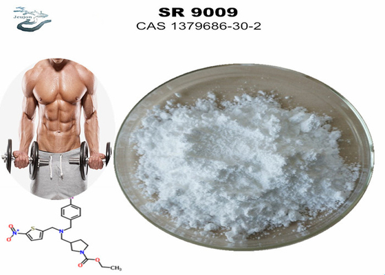 Gym Powder Sarms Workout Supplement Stenaboli SR-9009 przed treningiem CAS 1379686-30-2